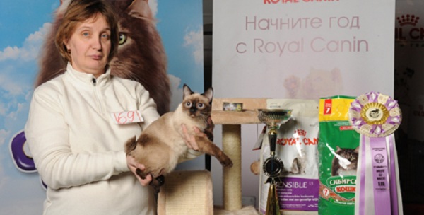 Международный конкурс котов Международный конкурс котов