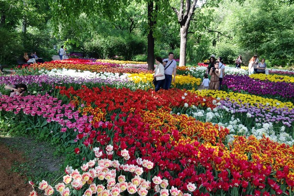 xvi-vesennij-festival-tsvetov-v-aptekars