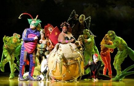 Цирковое шоу «Cirque Du Soleil: OVO»
