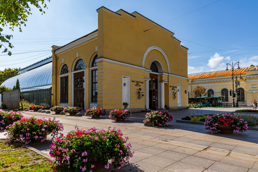 Оранжерея Таврического сада
