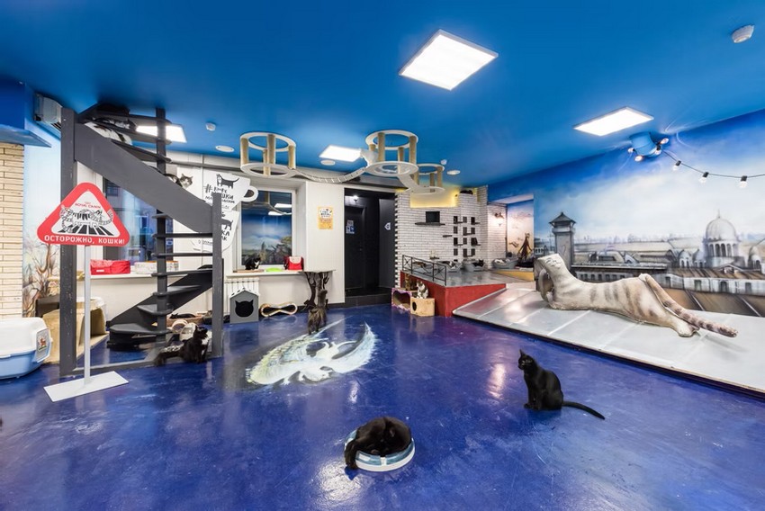 Котокафе Республика кошек в С.-Петербурге