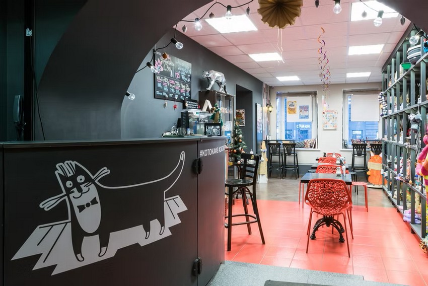 Котокафе Республика кошек в С.-Петербурге