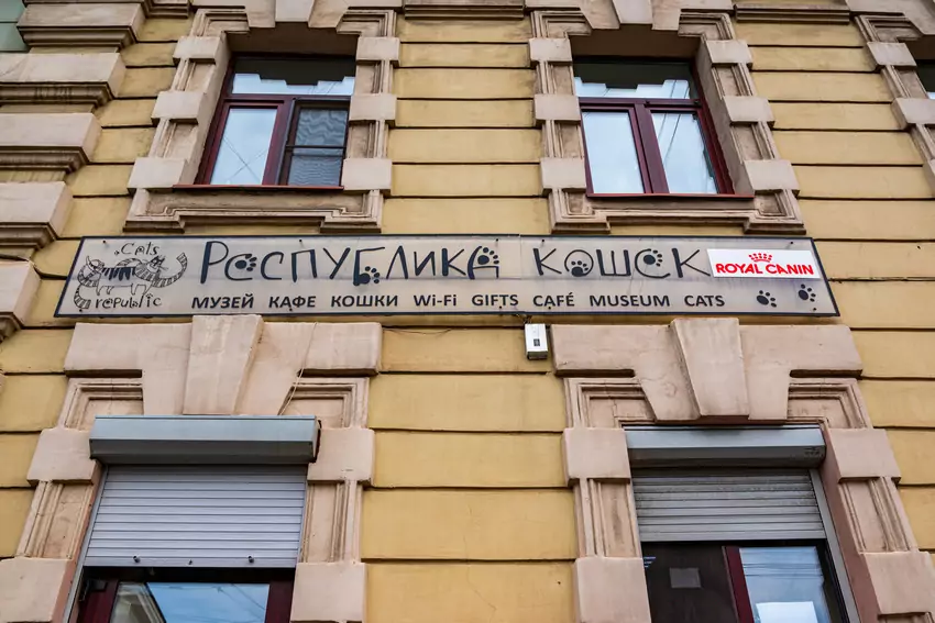 Котокафе «Республика кошек»