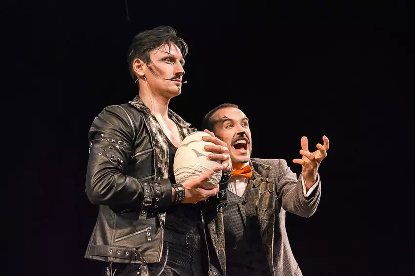 Мюзикл «Мама-кот»