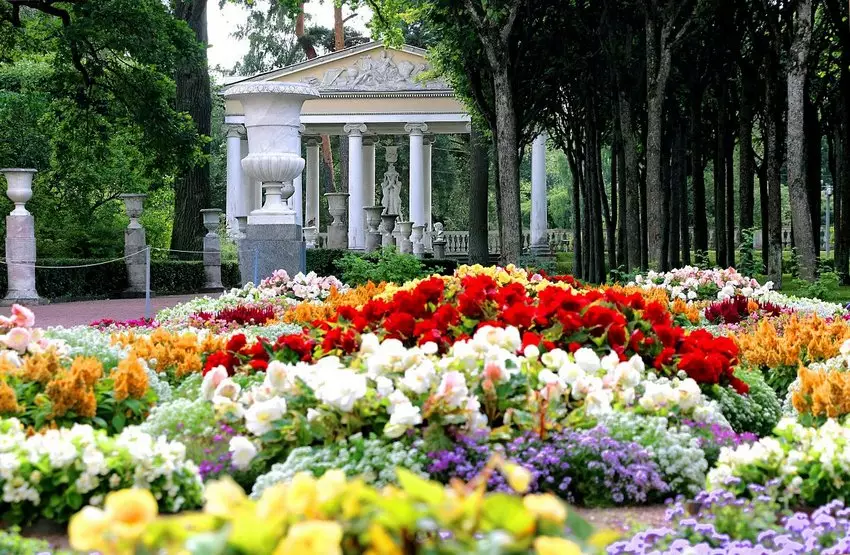 Музей-заповедник «Павловск»