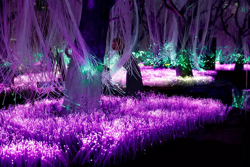 Интерактивная зона Futurione Emotions