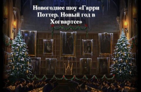 Новогоднее шоу «Гарри Поттер. Новый год в Хогвартсе»