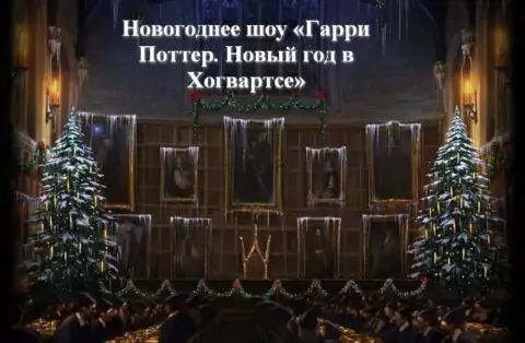 Новогоднее шоу «Гарри Поттер. Новый год в Хогвартсе»