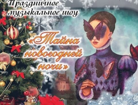Музыкальное шоу «Тайна новогодней ночи»