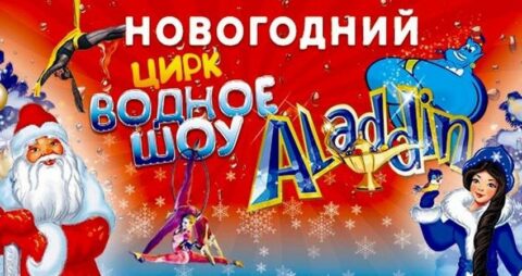 Новогодняя сказка на воде «Аладдин»