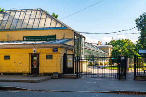 Ботанический сад БИН РАН (Аптекарский огород)