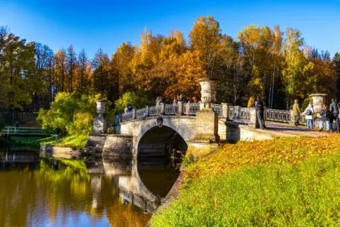 Павловский парк