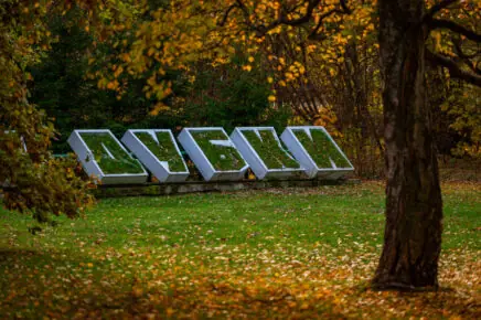 Парк Дубки в Сестрорецке