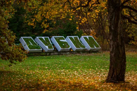 Парк Дубки в Сестрорецке