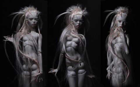 Выставка «Сестры Поповы. Non-Human»