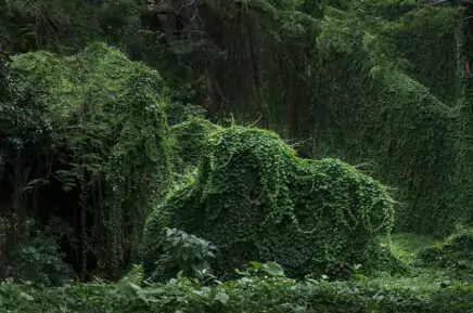 Выставка «Совершенство»