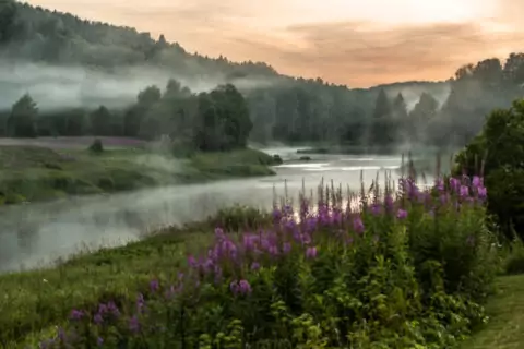 Выставка «Юрий Овчинников. Времена года»