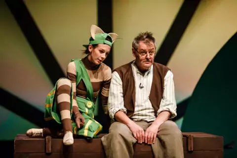 Спектакль «Новые приключения Петсона и Финдуса»