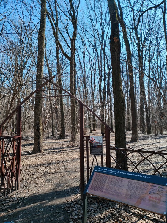 Воронцовский парк