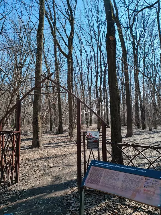 Воронцовский парк