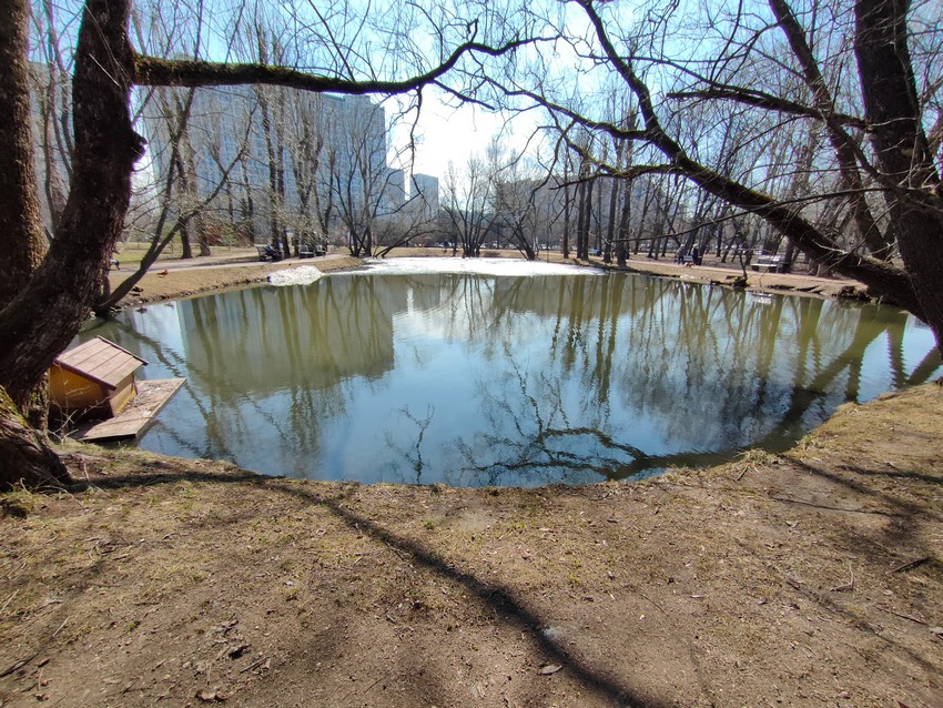 Воронцовский парк