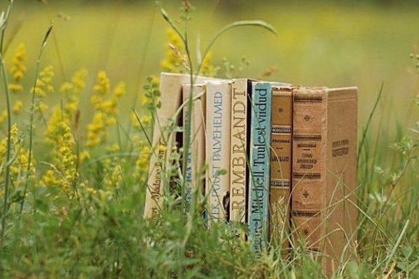 фестиваль в Сокольниках «Сказочный остров»