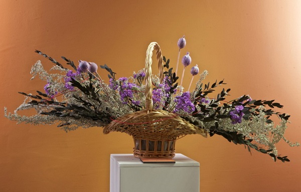 Природа и творчество