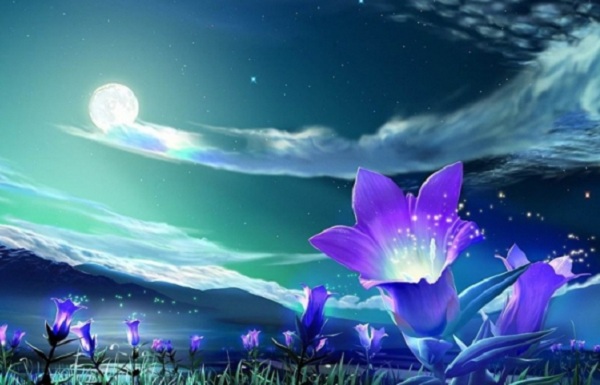 Цифровые сны