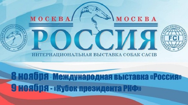 Международная выставка собак