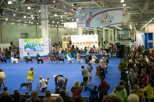 Международная выставка собак