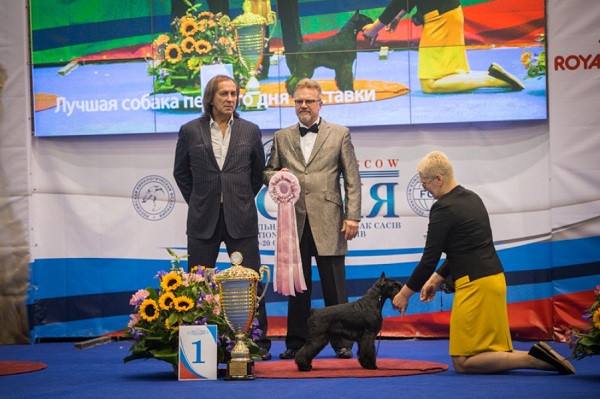 Международная выставка собак