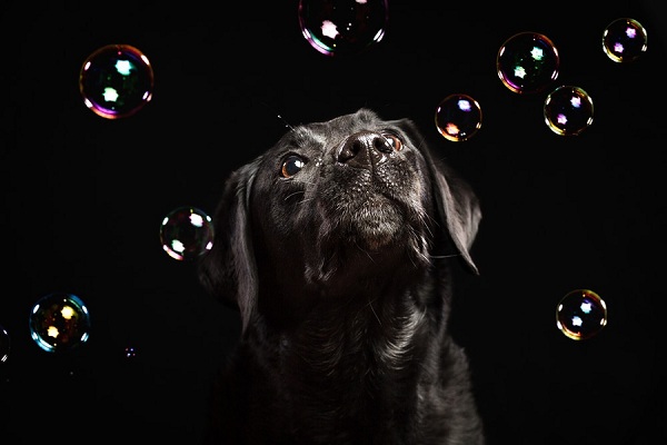 The Leader's Winter Cup – 2014