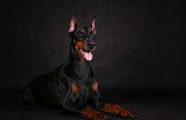 The Leader's Winter Cup – 2014