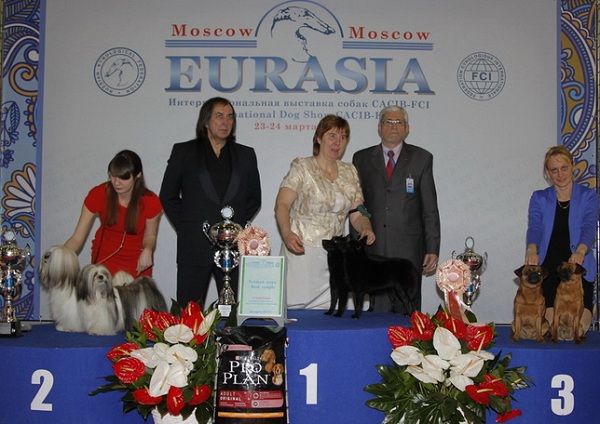 Международная выставка собак «Евразия-2015»