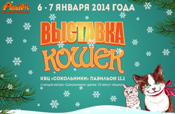 Выставка кошек «Зимний альянс – 2015»