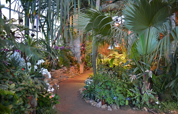 VI Зимний фестиваль «Тропическая зима»