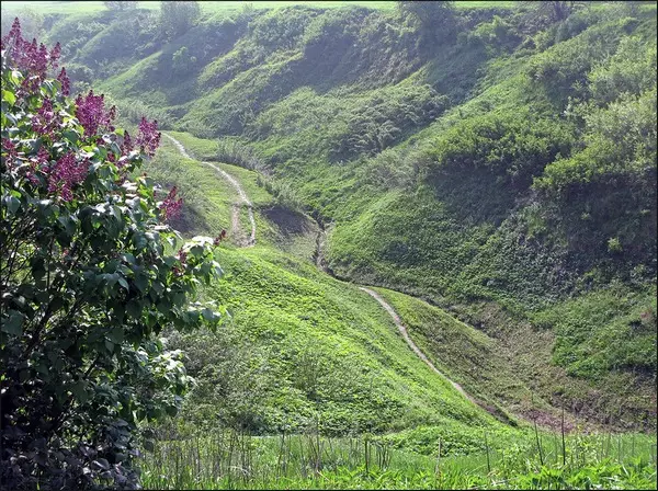 Голосов овраг в Коломенском
