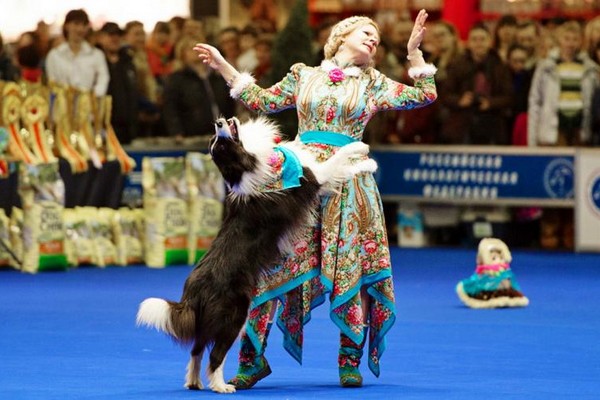 Международная выставка собак «World Dog Show – 2016» в МВЦ «Крокус-Экспо»