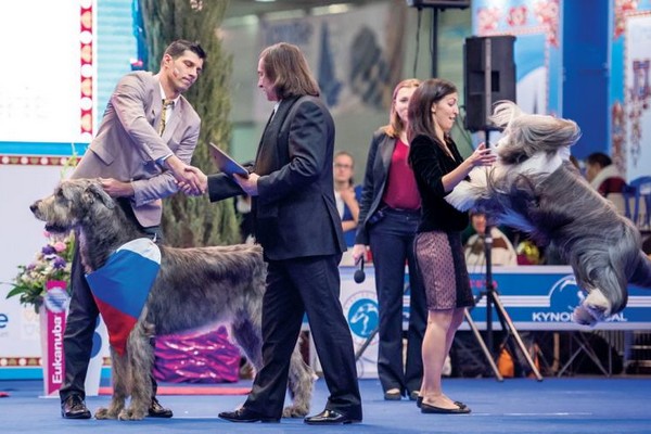 Международная выставка собак «World Dog Show – 2016» в МВЦ «Крокус-Экспо»