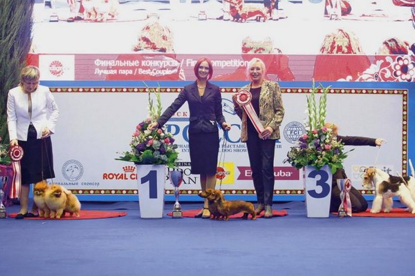 Международная выставка собак «World Dog Show – 2016» в МВЦ «Крокус-Экспо»
