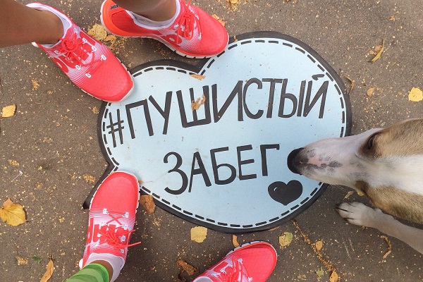 Благотворительная акция «Пушистый забег» в парке «Кузьминки»