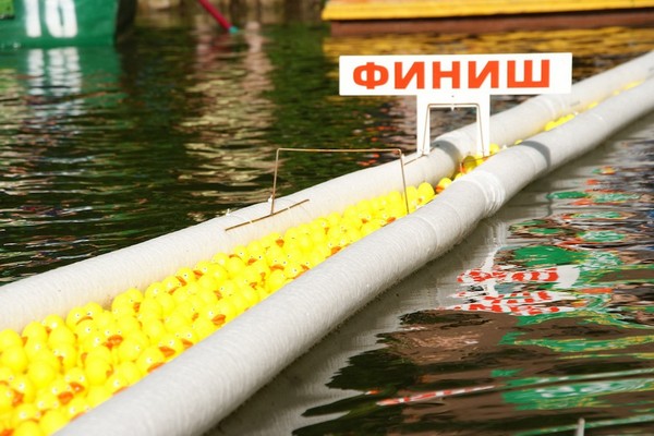 Фестиваль «Утиный заплыв–2016» в Воронцовском парке