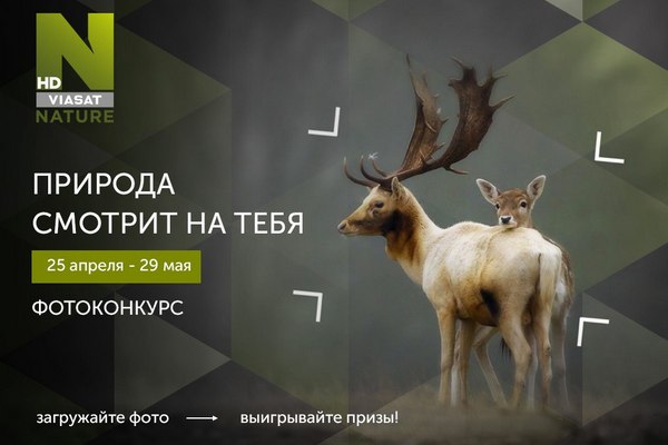Фотоконкурс «Природа смотрит на тебя»