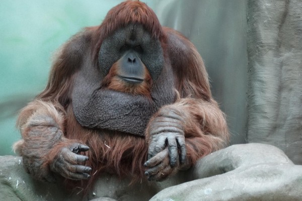 Фотовыставка «Фотография как образ мира – 2016» в Центральном доме художника