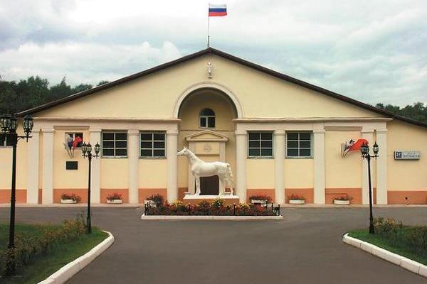 Авторская экскурсия  «Мир лошадей и пони в Измайлово»