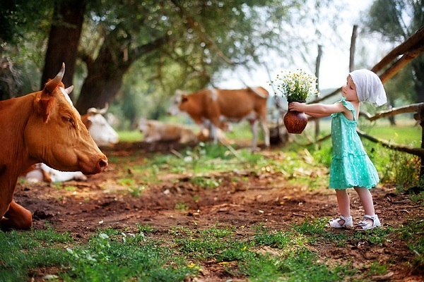 Фестиваль «Неделя Российской Фотографии — 2016» в Галерее Классической Фотографии