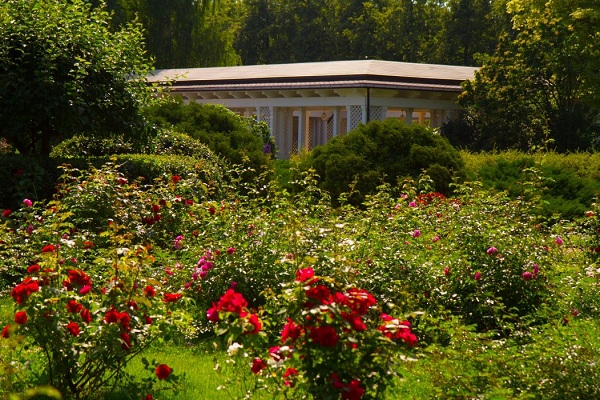В парке «Сокольники» появилось цветочное платье для селфи в «русском стиле»