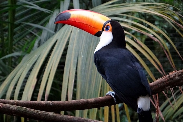 Фотовыставка «Жажда жизни» в Государственном Кремлевском дворце