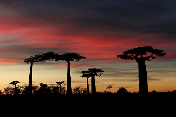Фотовыставка «Жажда жизни» в Государственном Кремлевском дворце