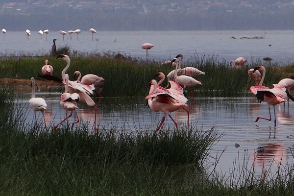 Фотовыставка «Жажда жизни» в Государственном Кремлевском дворце